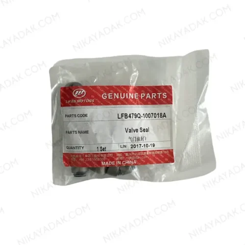 لاستیک ساق سوپاپ جیلی سواری یورو 4